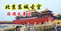 亚洲近亲黄色视频大全中国北京-东城古宫旅游风景区
